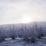 Lohi-aslakin Lomamoekit Utsjoki