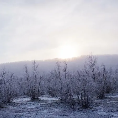 Lohi-aslakin Lomamoekit Utsjoki