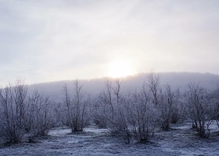 Lohi-aslakin Lomamoekit Utsjoki